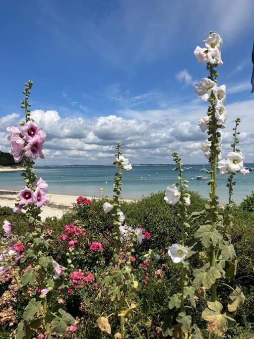 Appartement Belles Vacances Quiberon Zewnętrze zdjęcie