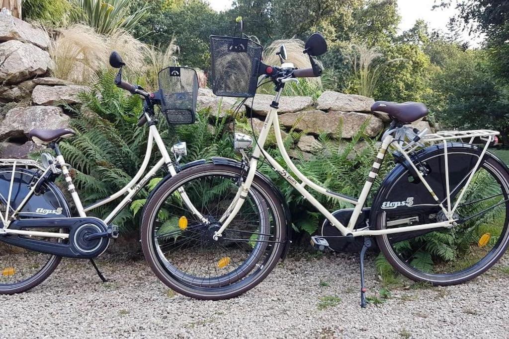 Appartement Belles Vacances Quiberon Zewnętrze zdjęcie